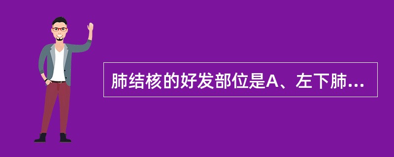 肺结核的好发部位是A、左下肺及肺上叶B、右中肺及左下肺C、肺上叶后段及下叶背段D