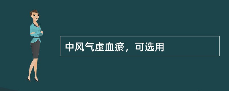 中风气虚血瘀，可选用