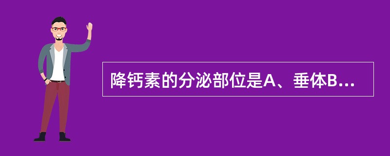 降钙素的分泌部位是A、垂体B、下丘脑C、甲状腺滤泡细胞D、甲状腺滤泡旁细胞E、甲