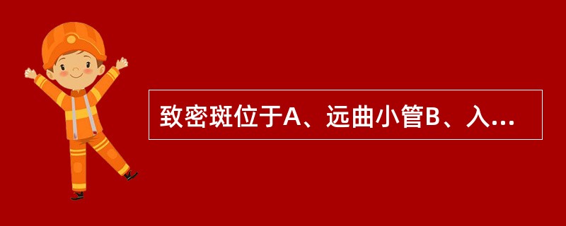 致密斑位于A、远曲小管B、入球小动脉C、出球小动脉D、肾小球血管襻E、入球小动脉