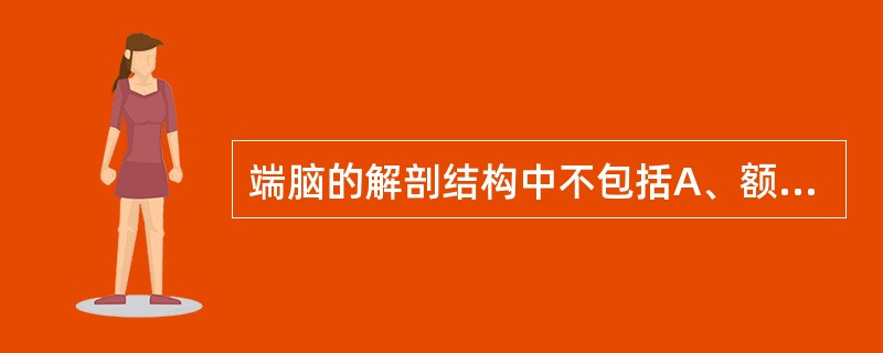 端脑的解剖结构中不包括A、额叶B、颞叶C、顶叶D、岛叶E、丘脑