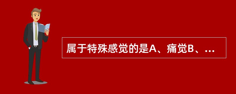 属于特殊感觉的是A、痛觉B、触觉C、嗅觉D、深感觉E、复合感觉