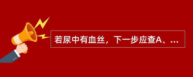 若尿中有血丝，下一步应查A、肾活检B、泌尿系统B超C、尿比重D、尿培养E、肾血管