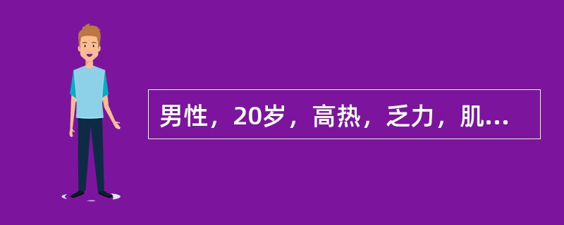 男性，20岁，高热，乏力，肌肉酸痛，伴鼻塞1天，同班同学中数人有同样症状，最可能