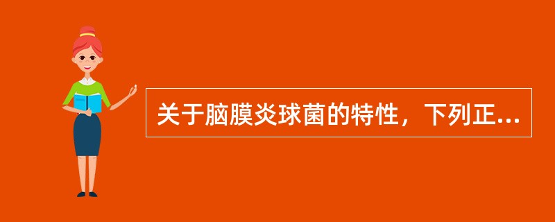 关于脑膜炎球菌的特性，下列正确的是A、属奈瑟菌属，革兰染色阳性B、能产生毒力较强