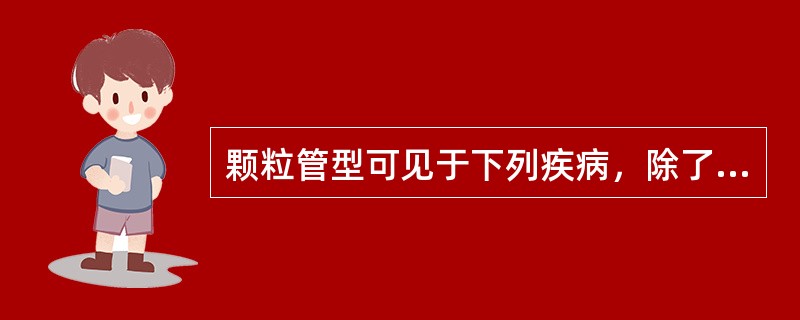 颗粒管型可见于下列疾病，除了A、慢性肾炎B、肾盂肾炎C、急性肾小球肾炎后期D、药