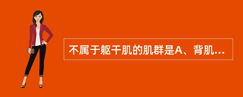 不属于躯干肌的肌群是A、背肌B、胸肌C、颈肌D、膈E、腹肌