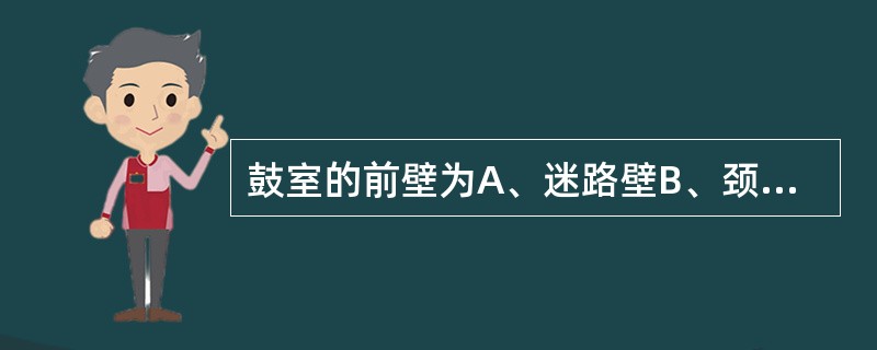 鼓室的前壁为A、迷路壁B、颈静脉壁C、乳突壁D、颈动脉壁E、鼓膜壁