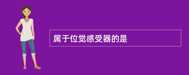 属于位觉感受器的是