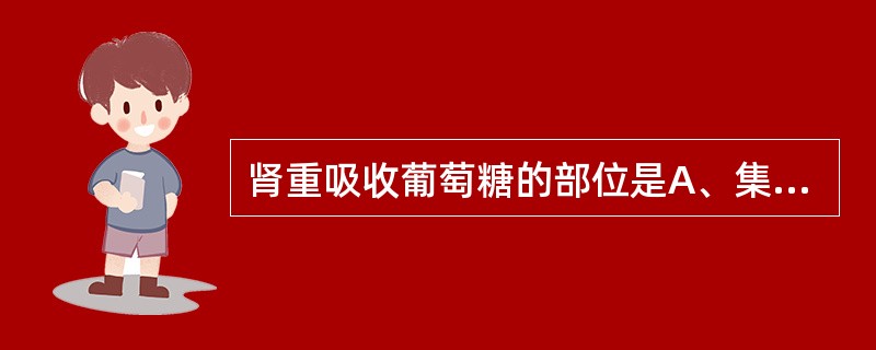 肾重吸收葡萄糖的部位是A、集合管B、远曲小管C、髓袢升支粗段D、近球小管E、髓袢