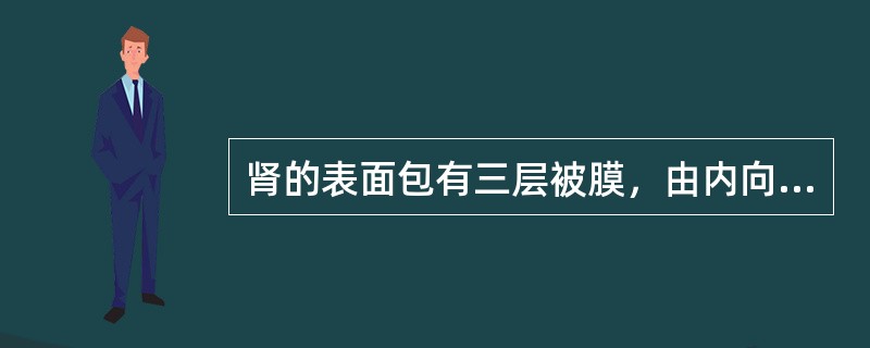 肾的表面包有三层被膜，由内向外依次为A、肾筋膜、脂肪囊、纤维囊B、肾筋膜、纤维囊