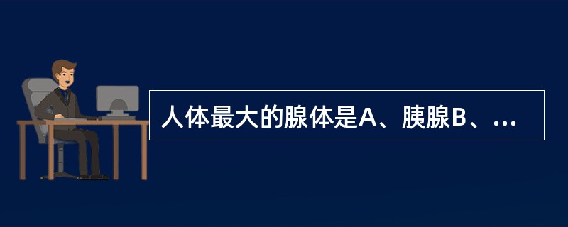 人体最大的腺体是A、胰腺B、脾C、肝D、胃E、肾