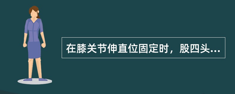 在膝关节伸直位固定时，股四头肌与胭绳肌产生的萎缩程度相比A、更加明显B、不明显C