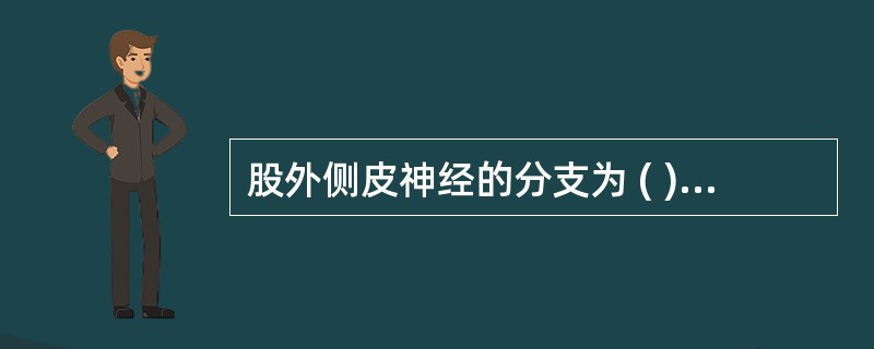 股外侧皮神经的分支为 ( )A、髂内(腹下)支B、内侧支C、后支D、髋支E、腹股