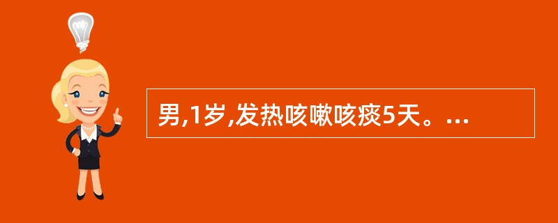 男,1岁,发热咳嗽咳痰5天。查体:呼吸 38次£¯分,双肺闻中小水泡音,X线胸片