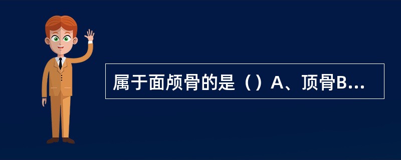 属于面颅骨的是（）A、顶骨B、额骨C、筛骨D、上颌骨E、枕骨