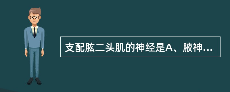 支配肱二头肌的神经是A、腋神经B、桡神经C、正中神经D、肩胛下神经E、肌皮神经