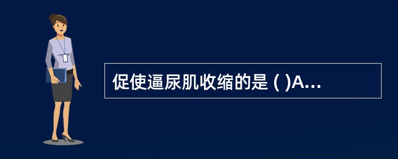 促使逼尿肌收缩的是 ( )A、交感神经B、副交感神经C、阴部神经D、股神经E、坐