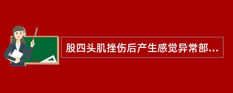 股四头肌挫伤后产生感觉异常部位的神经分布是 ( )A、股后皮神经B、隐神经C、腓