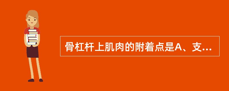 骨杠杆上肌肉的附着点是A、支点B、力点C、阻力点D、原点E、起点