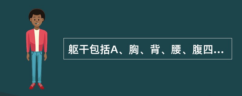 躯干包括A、胸、背、腰、腹四部分B、胸、背、腹三部分C、胸、背、腹、盆四部分D、