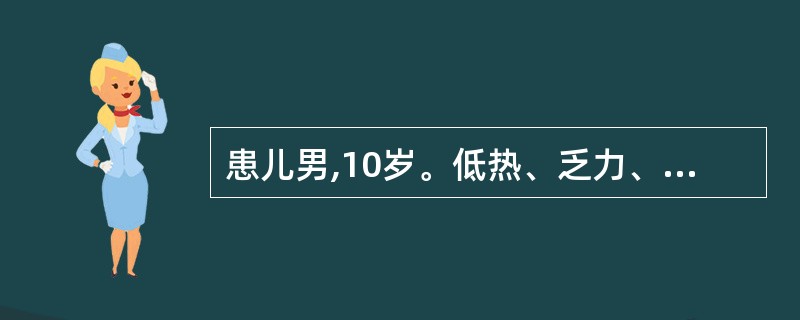 患儿男,10岁。低热、乏力、消瘦3个月。体检:颈部、腋窝淋巴结如蚕豆大,肝、脾轻