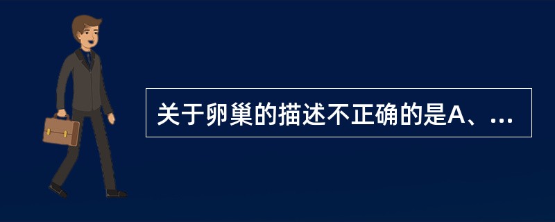 关于卵巢的描述不正确的是A、位于卵巢窝内B、为腹膜内位器官C、后缘有血管、神经和