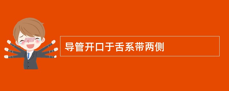导管开口于舌系带两侧