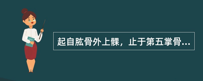 起自肱骨外上髁，止于第五掌骨底的肌是