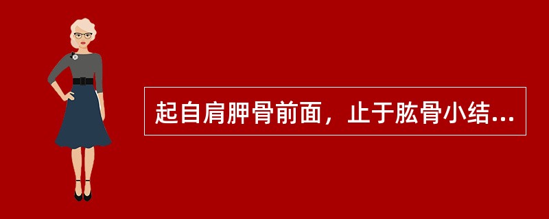 起自肩胛骨前面，止于肱骨小结节嵴的肌是