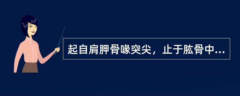 起自肩胛骨喙突尖，止于肱骨中部前内面的肌是