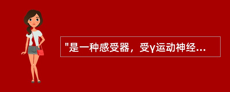 "是一种感受器，受γ运动神经元支配，肌肉收缩时被缩短"属于