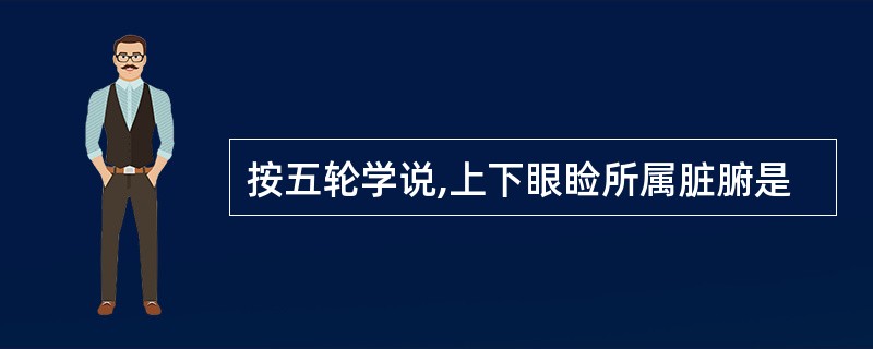 按五轮学说,上下眼睑所属脏腑是