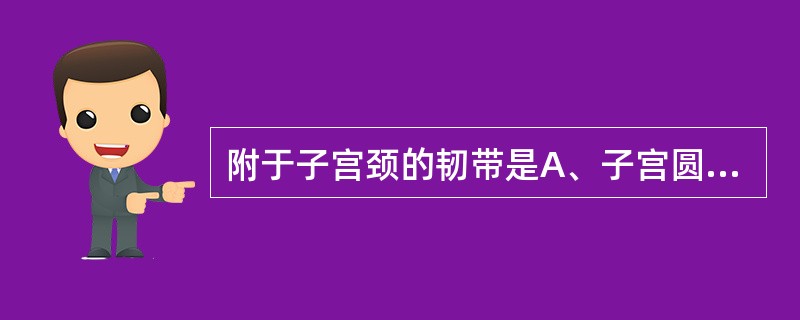 附于子宫颈的韧带是A、子宫圆韧带B、子宫主韧带C、子宫阔韧带D、卵巢悬韧带E、卵