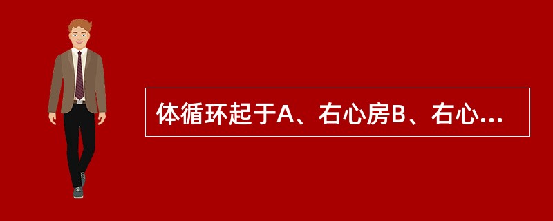 体循环起于A、右心房B、右心室C、肺泡壁毛细血管网D、左心房E、左心室