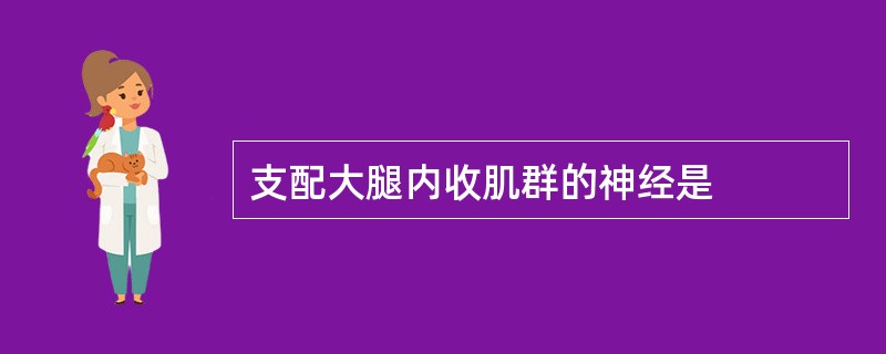 支配大腿内收肌群的神经是