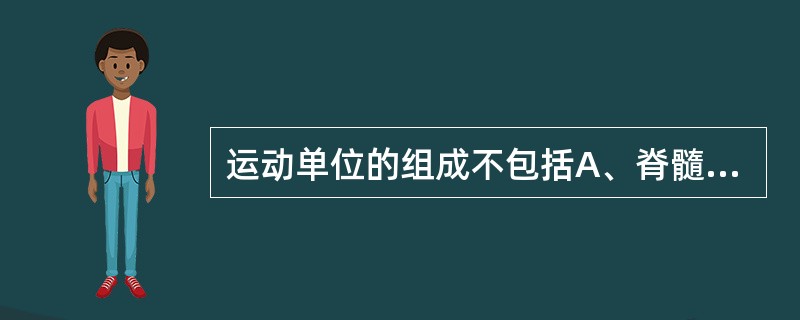 运动单位的组成不包括A、脊髓灰质B、脊髓前角细胞C、轴突D、肌纤维E、神经肌肉接