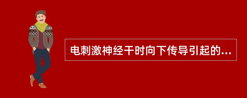 电刺激神经干时向下传导引起的肌肉兴奋引发的电反应为A、H波B、F波C、M波D、P