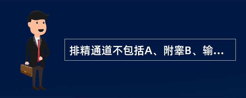 排精通道不包括A、附睾B、输精管C、尿道D、前列腺E、射精管