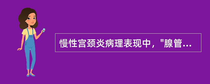 慢性宫颈炎病理表现中，"腺管口阻塞、分泌物潴留、形成囊肿"属于