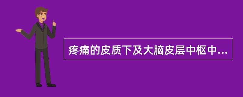 疼痛的皮质下及大脑皮层中枢中，第二感觉区（SⅡ），即中央后回的最下部、中央前回与