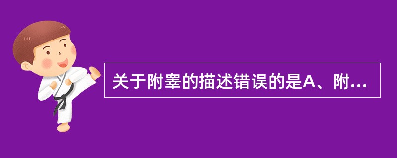 关于附睾的描述错误的是A、附于睾丸的上端及后缘偏外侧B、可分为头、体、尾三部C、