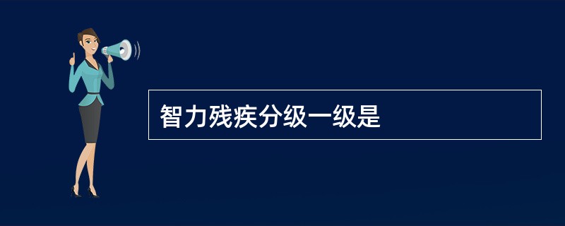 智力残疾分级一级是