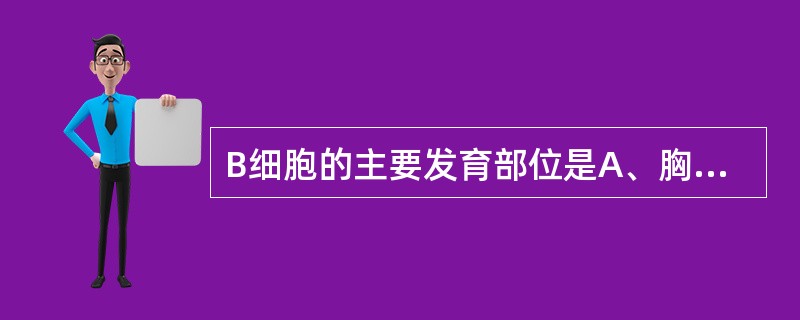 B细胞的主要发育部位是A、胸腺B、骨髓C、脾脏D、淋巴结、肝等器官及结缔组织E、