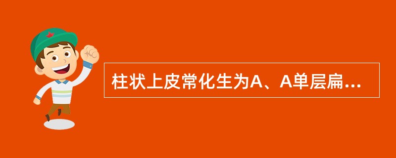 柱状上皮常化生为A、A单层扁平上皮B、间皮C、鳞状上皮D、移行上皮E、腺上皮 -