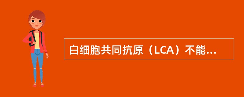 白细胞共同抗原（LCA）不能标记的细胞是A、B细胞B、红细胞C、T细胞D、组织细