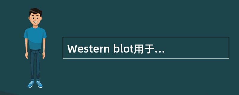 Western blot用于A、DNA杂交分析B、RNA杂交分析C、蛋白质分析D