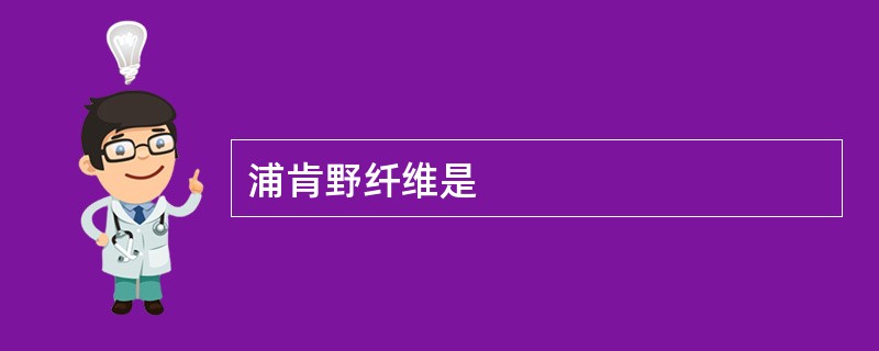 浦肯野纤维是