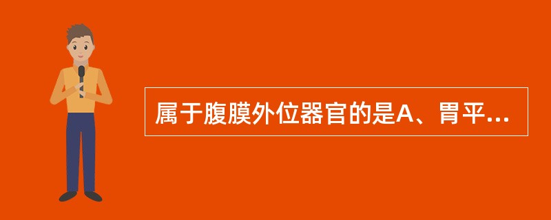 属于腹膜外位器官的是A、胃平部B、十二指肠永平部C、肝D、脾E、胆囊