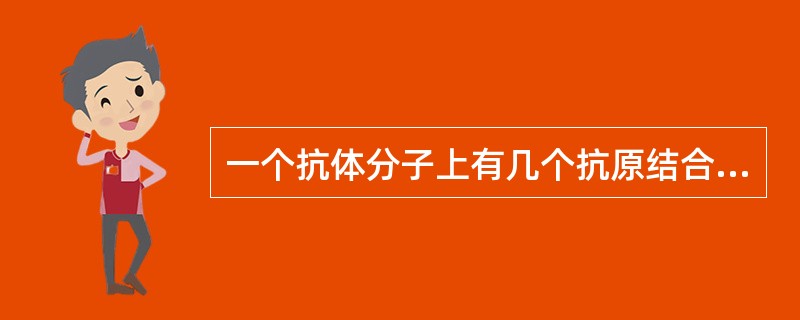 一个抗体分子上有几个抗原结合位点A、1个B、2个C、4个D、3个E、5个以上 -